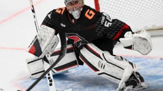 Омский «Авангард» одержал победу над «Нефтехимиком»