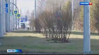 На Бульваре Архитекторов завершился финальный этап реконструкции