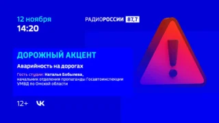 «Дорожный акцент, Аварийность на дорогах»