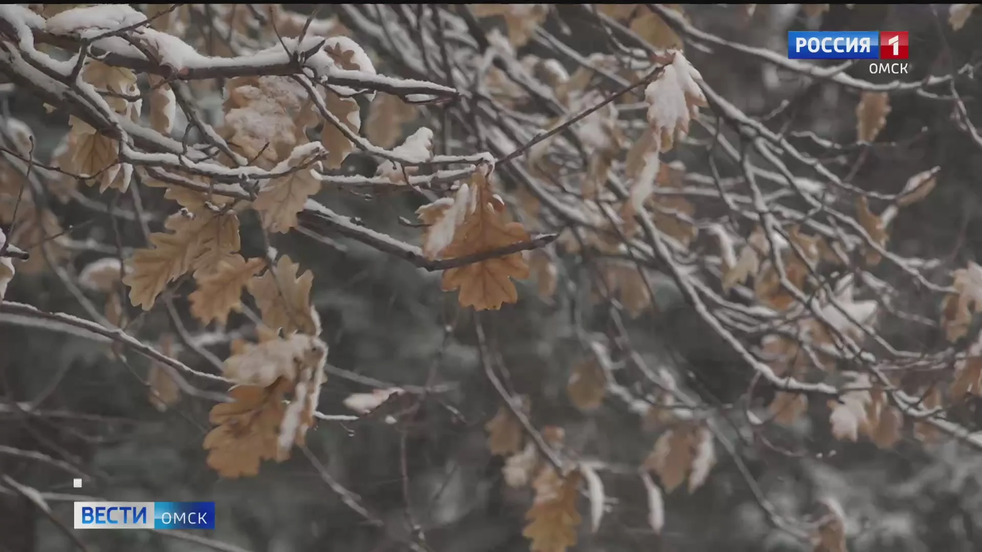 В Омске снова испортится погода
