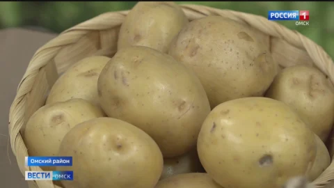 Аграрии Омского района по итогам уборочной кампании установили рекорд