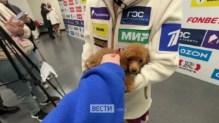 В Омске бронзовый призер этапа Гран-при по фигурному катанию Алина Горбачева вышла к журналистам со своей собакой Рокси
