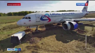 В Омском суде идёт предварительное слушание по делу пилота, посадившего самолет в пшеничное поле