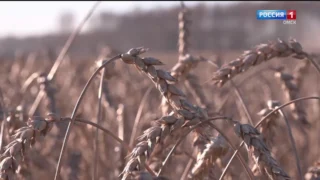 «Актуальное интервью» с министром сельского хозяйства Омской области Николаем Дрофой