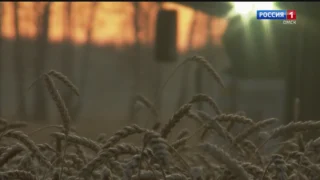 «Вести Сибирь», выпуск от 9 ноября 2025 года