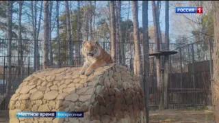 «События недели», выпуск от 2 ноября 2025 года