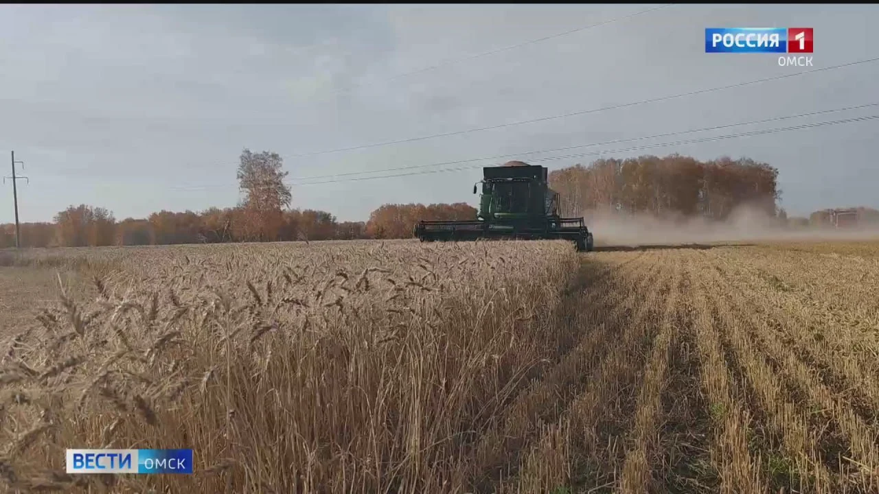 2025 год стал для аграриев Омской области настоящей проверкой на прочность