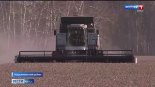 В Омской области завершается уборочная кампания, несмотря на сложные погодные условия