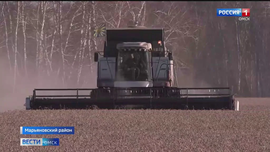 В Омской области завершается уборочная кампания, несмотря на сложные погодные условия