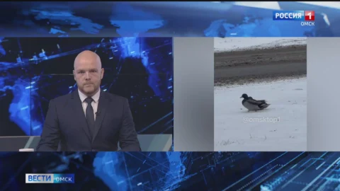 Ноябрь продолжает удивлять омичей погодными катаклизмами