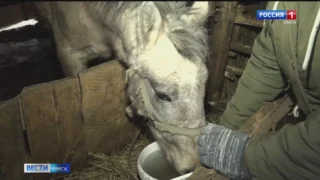 Одно из поселений в Азовском районе уже больше недели остается без водоснабжения