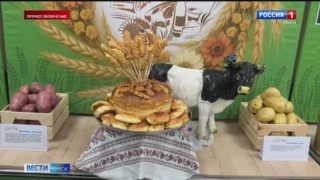 Районы Омской области подводят итоги уборочной кампании праздником