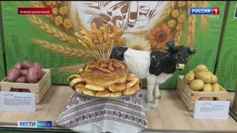 Районы Омской области подводят итоги уборочной кампании праздником