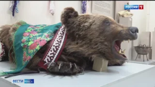 «Сказку о медведе» рассказывали посетителям Омского краеведческого музея