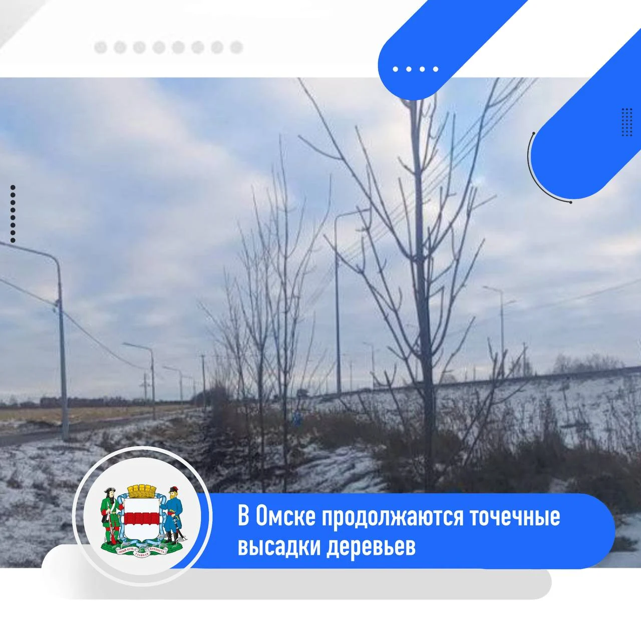 В Омске продолжается высадка деревьев