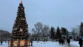 В Омске у парка им. 30-летия ВЛКСМ установили новогоднюю ёлку