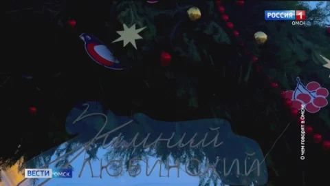 На Зимнем Любинском впервые зальют каток