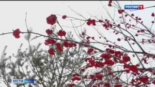 В Омске и области 31 декабря ожидается резкое ухудшение погоды