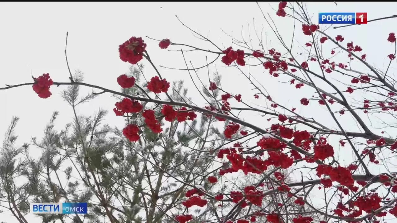 В Омске и области 31 декабря ожидается резкое ухудшение погоды