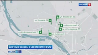 В Омске открываются елочные базары