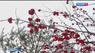 Циклон с резким потеплением обрушится на Омскую область