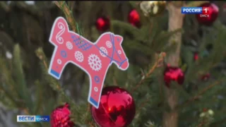 Омичи заметили первых новогодних красавиц в самом центре Омска