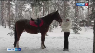 Омичи готовятся к году Огненной Лошади