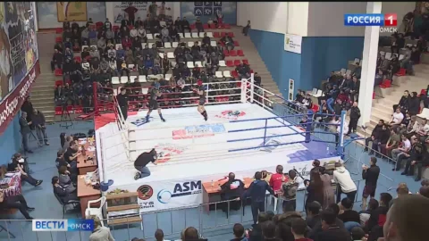 13 декабря в Омске стартует Кубок Федерации по ММА