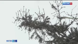 В Омске морозы задержатся ненадолго