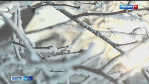 Омичей ждет морозное начало недели