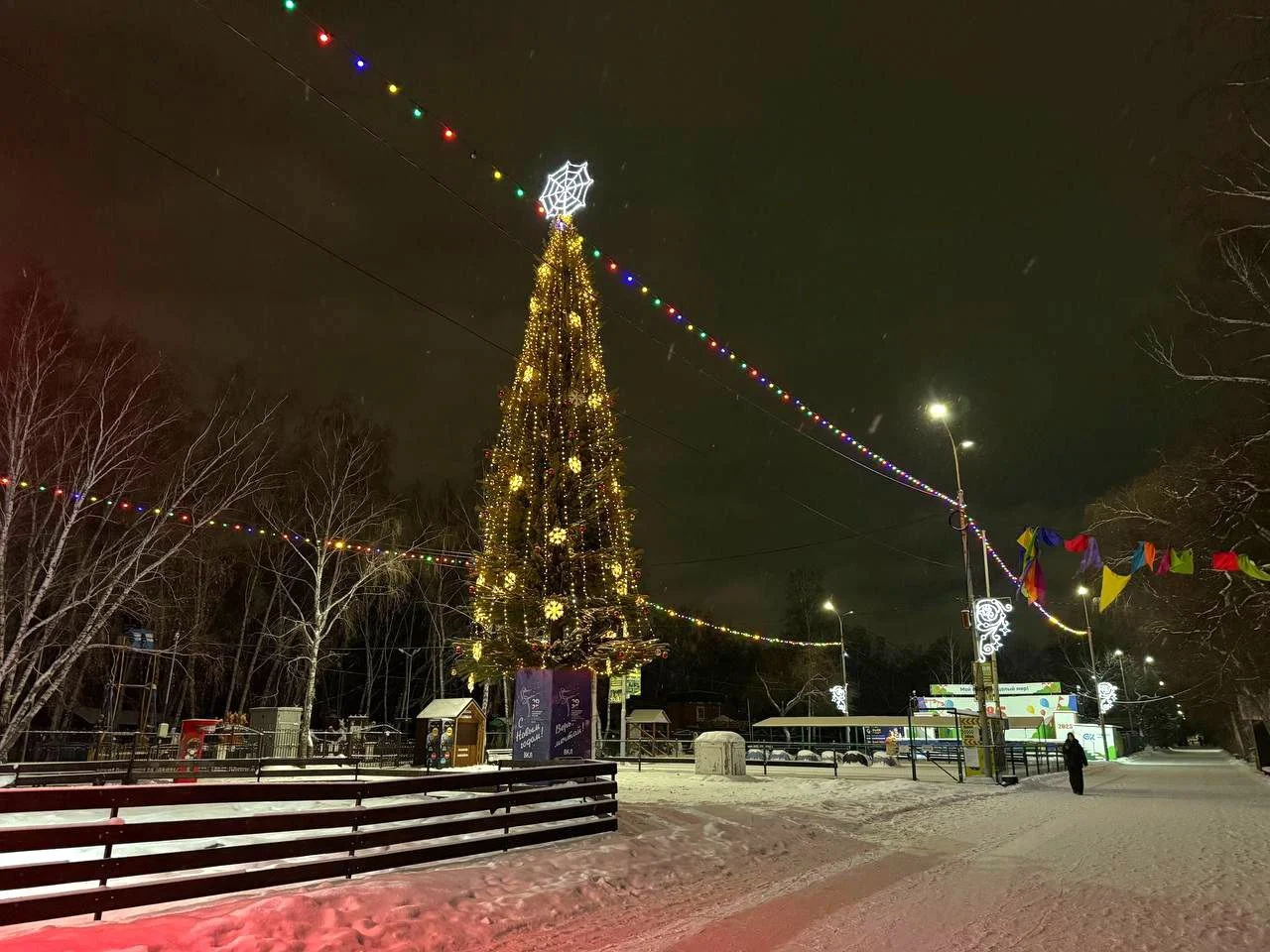 В парке имени 30-летия ВЛКСМ установили главную елку