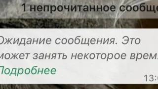 Пользователи соцсетей сообщают об ухудшении работы WhatsApp*