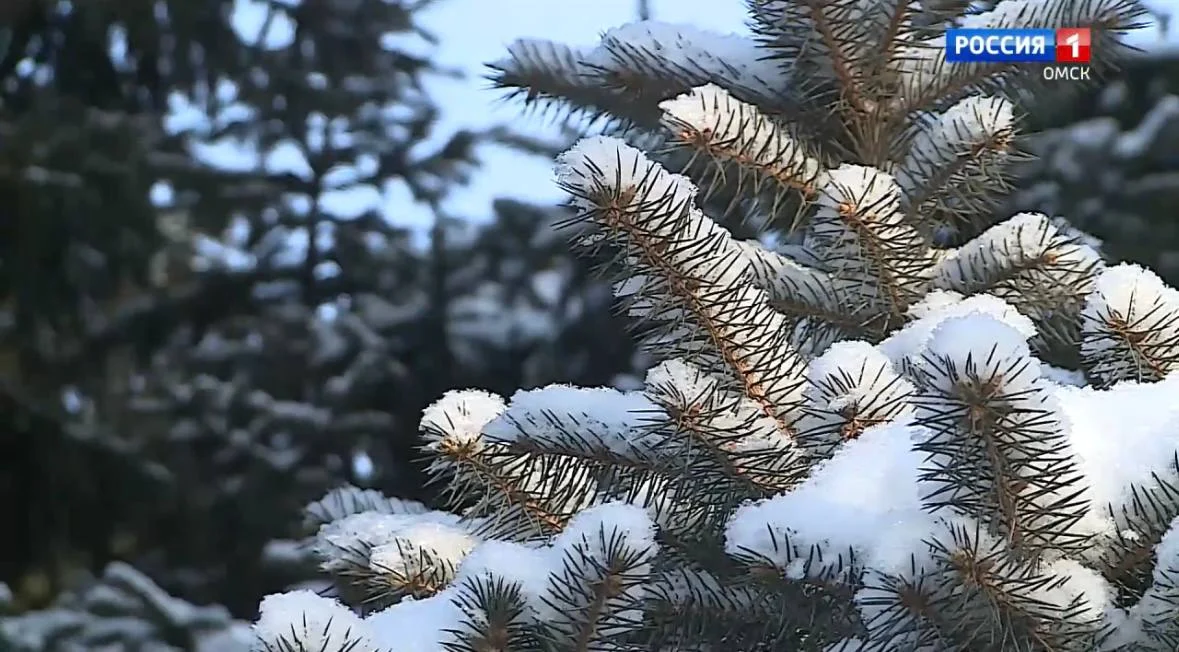 Омичей ждёт неустойчивая погода
