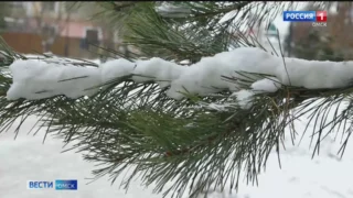Синоптики пока не берутся прогнозировать, какой будет новогодняя ночь