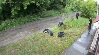 Омский суд обязал выплатить компенсацию семье подростка, на которого напала бездомная собака