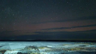 Первое в этом году полярное сияние заметили над Омской областью