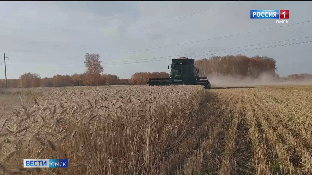 Как регион будет распоряжается рекордным урожаем?