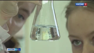 Омские учёные создали биоматериал, который позволяет восстановить повреждённую костную ткань