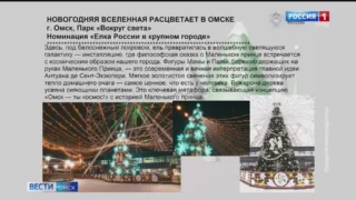 Остался последний день голосования за «Елку России»