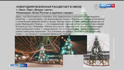 Остался последний день голосования за «Елку России»