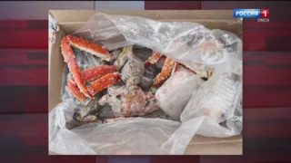 В Омске остановили фуру, гружённую красной икрой и крабами