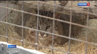 В Хакасии новый житель зоопарка