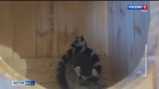 В Омском зоопарке пополнение