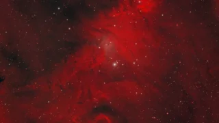 Роскосмос показал свою «Рождественскую елку»