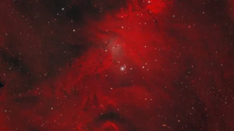 Роскосмос показал свою «Рождественскую елку»