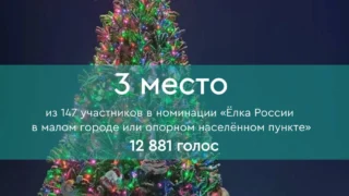 Ёлочки из Омской области вошли в число призёров конкурса «Ёлка России»