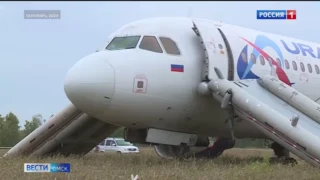 В Омске продолжится рассмотрение дела о самолете, экстренно севшем в пшеничном поле