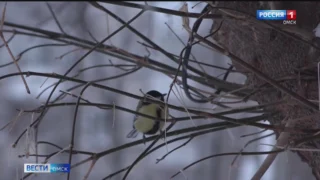 Вековой юбилей отметила Изегольская школа в Иркутской области