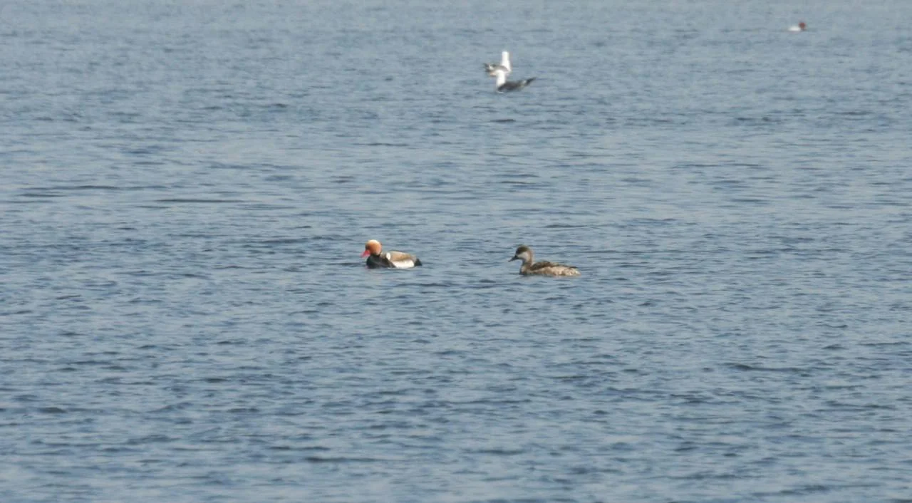 Сегодня отмечается День заповедников и национальных парков