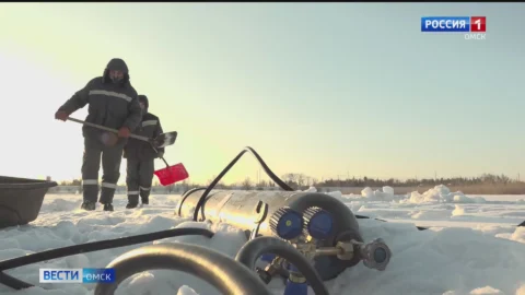В Омске в «Птичьей гавани» приступили к работам по спасению водных обитателей местного озера
